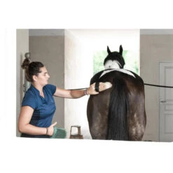 Damespolo Met Korte Mouwen Ruitersport 500 MESH -Puur Mode damespolo met korte mouwen voor paardrijden 500 blauw 5