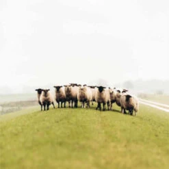 Gebreide Muts Van Wol Freya Zen Blue - One Size - Lichtblauw 5 Gebreide Muts Van Wol Freya Zen Blue - One Size - Lichtblauw -Puur Mode gebreide muts van wol freya zen blue one size lichtblauw 2