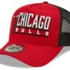 New Era Trucker-pet Van De Chicago Bulls
